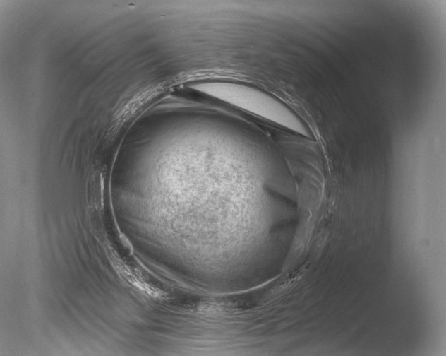 X0000085800109200703301509