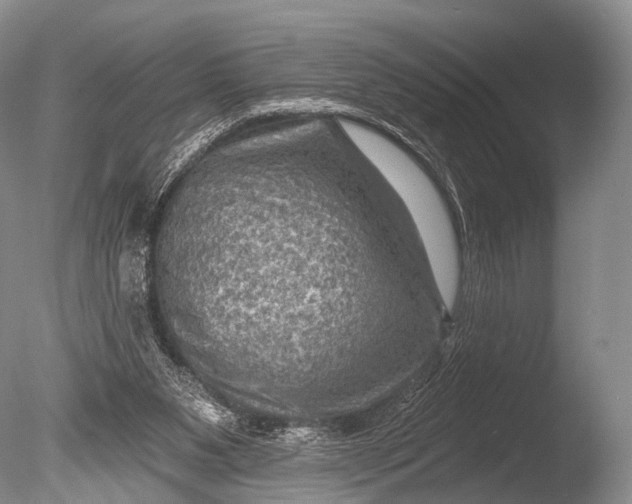 X0000085800111200703301509