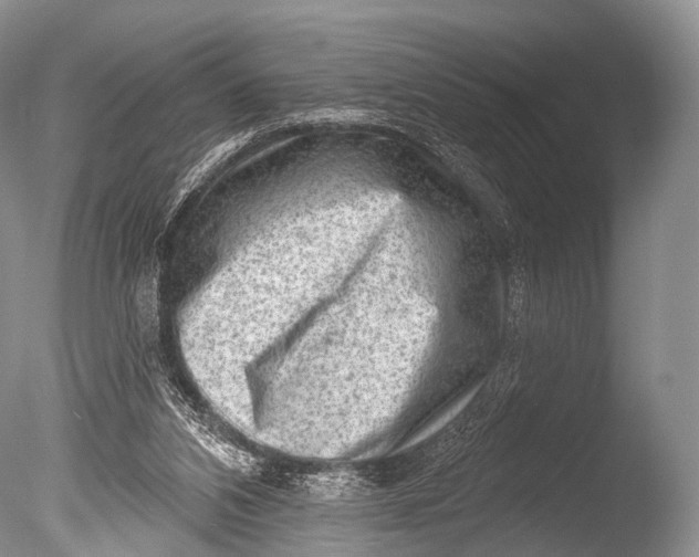 X0000085800112200703301509