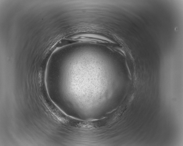 X0000085800113200703301509