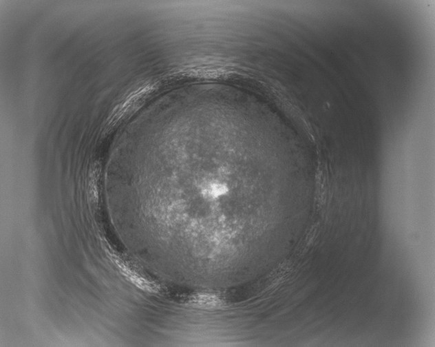 X0000085800114200703301508