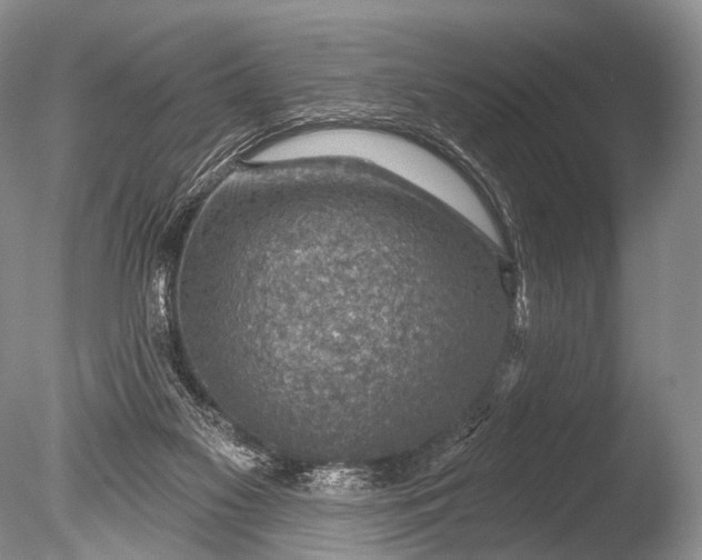 X0000085800117200703301508