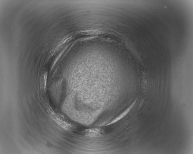 X0000085800118200703301508