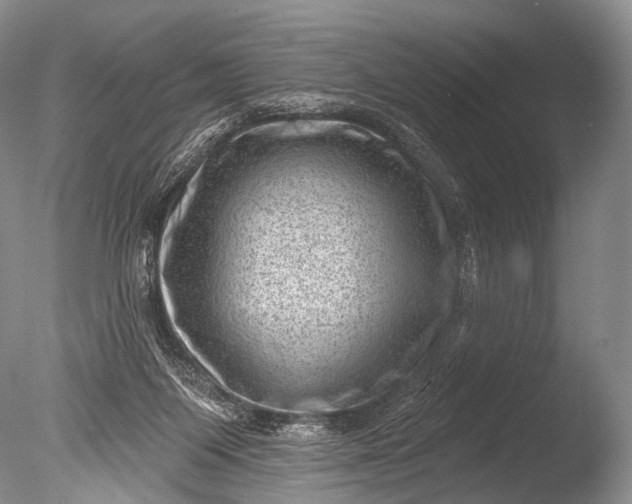 X0000085800119200703301508