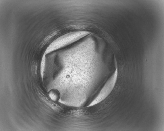 X0000085800120200703301508