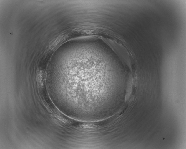 X0000085800121200703301508