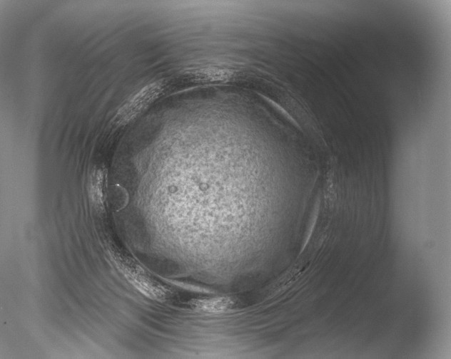 X0000085800122200703301508