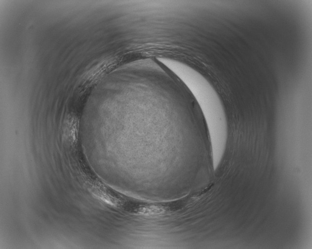 X0000085800125200703301508