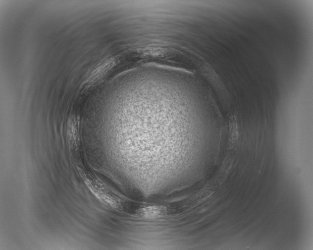 X0000085800126200703301508