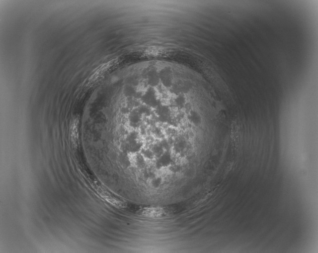 X0000085800127200703301508