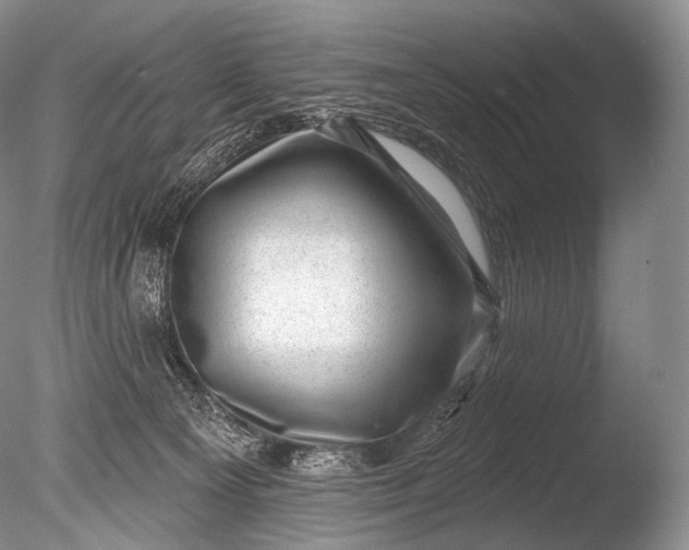 X0000085800129200703301508