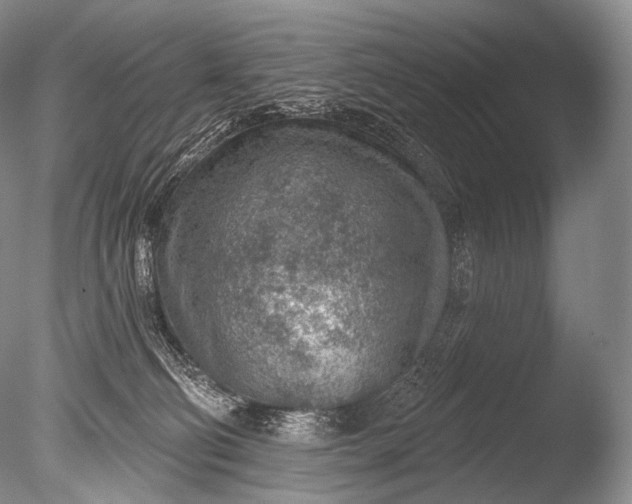 X0000085800130200703301508