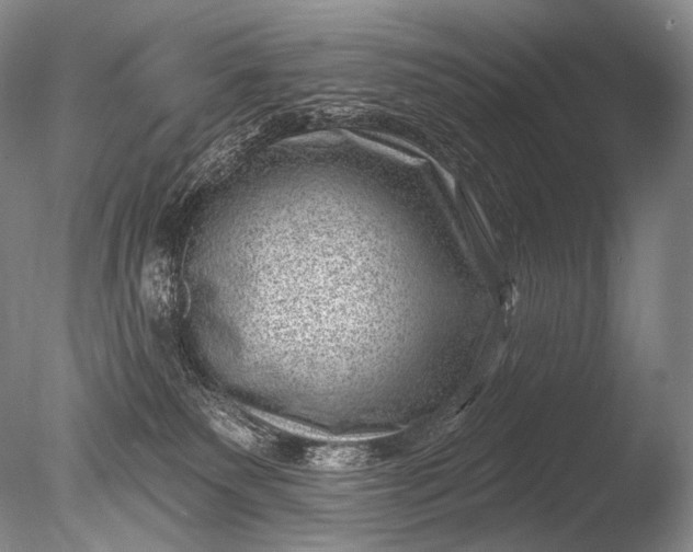 X0000085800135200703301508