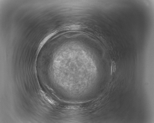 X0000085800147200703301507