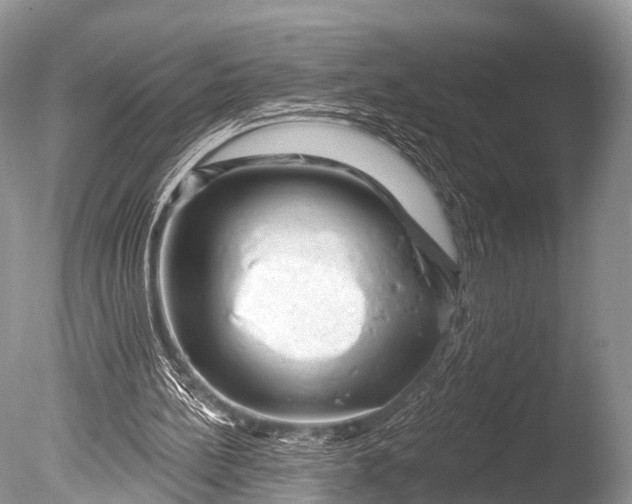 X0000085800148200703301507