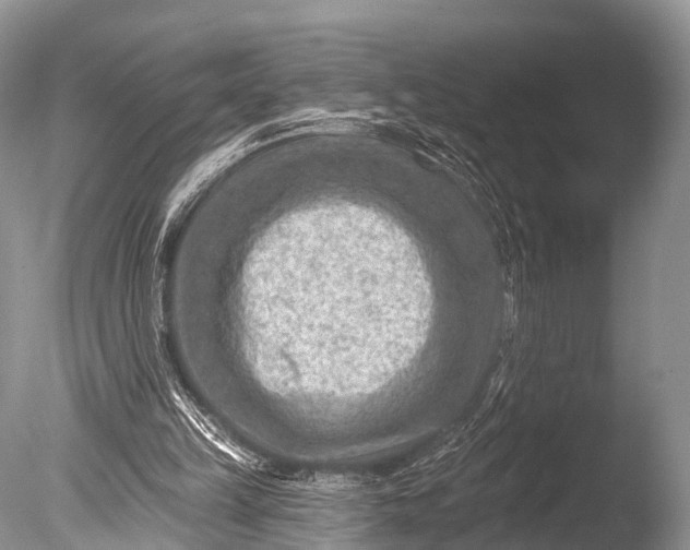 X0000085800149200703301507