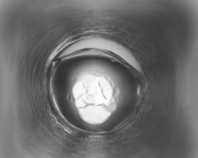 X0000085800150200703301507