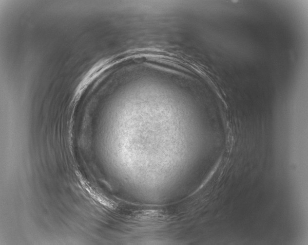 X0000085800151200703301507