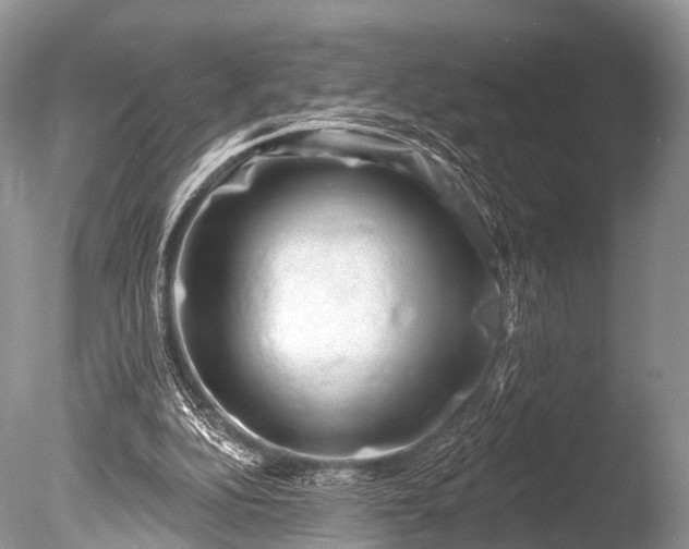 X0000085800152200703301507