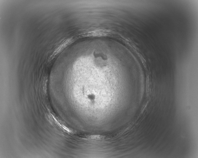 X0000085800153200703301507