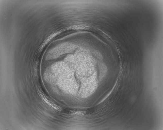 X0000085800155200703301507