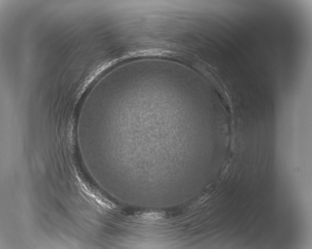 X0000085800156200703301507