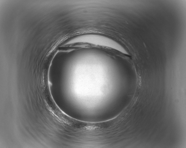 X0000085800158200703301507