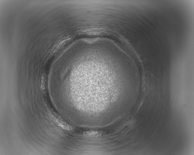 X0000085800161200703301507