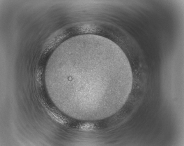 X0000085800162200703301507