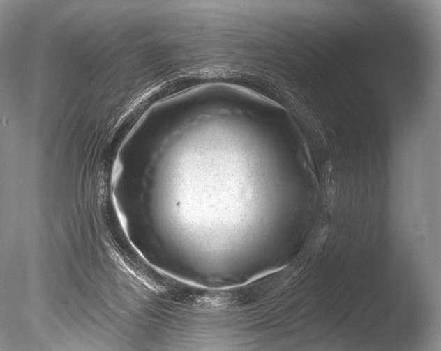 X0000085800164200703301507