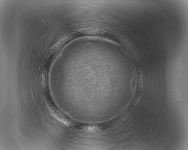 X0000085800165200703301507