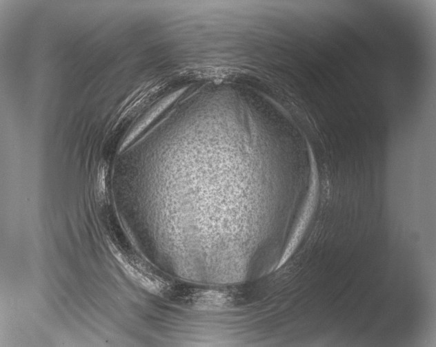 X0000085800166200703301508