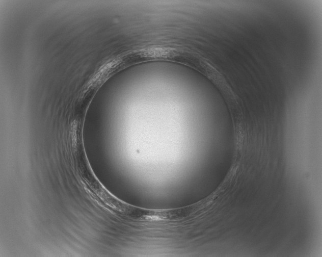 X0000085800167200703301508