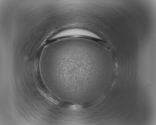 X0000085800168200703301508