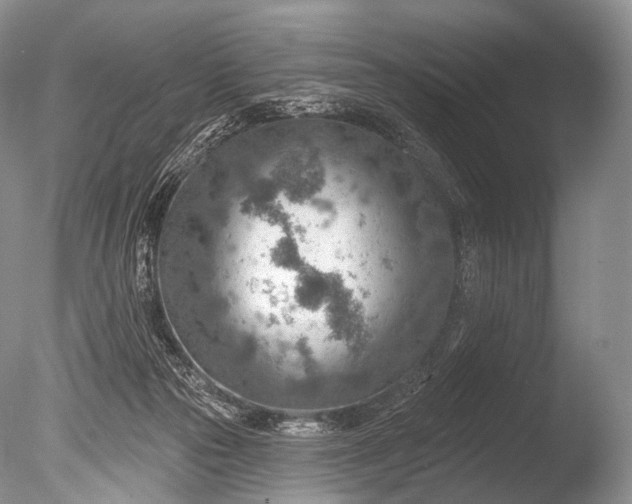 X0000085800169200703301508