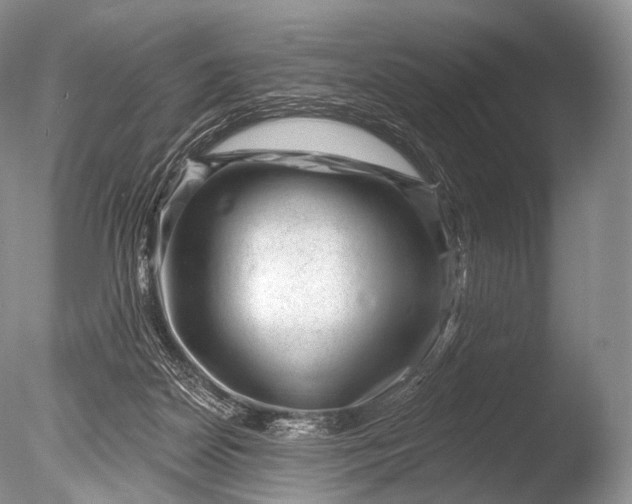 X0000085800170200703301508