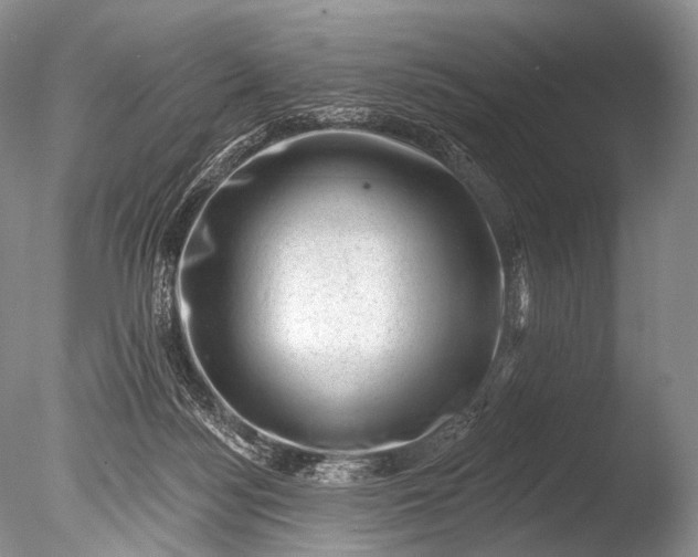 X0000085800172200703301508