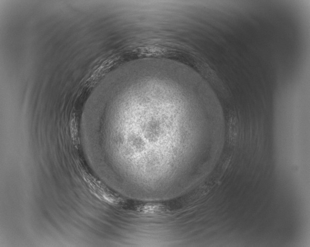 X0000085800173200703301508