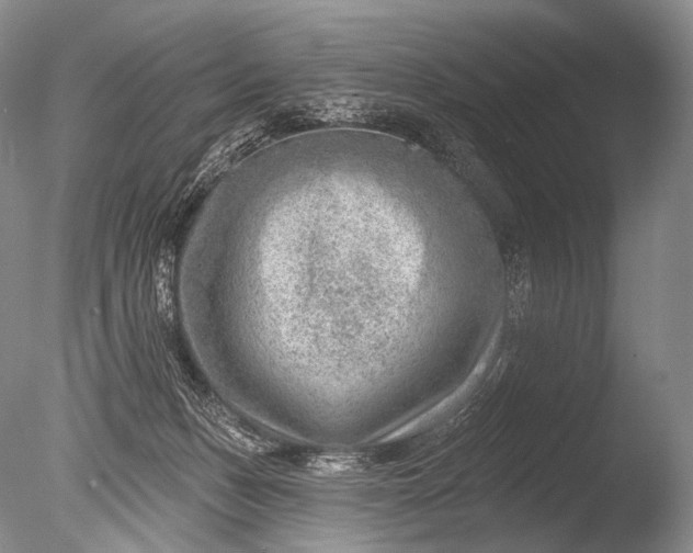 X0000085800175200703301508