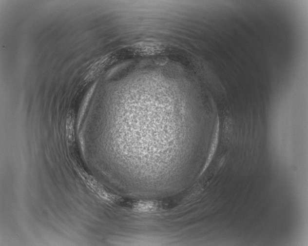 X0000085800177200703301508