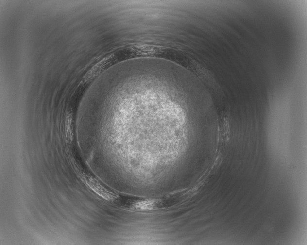 X0000085800178200703301508