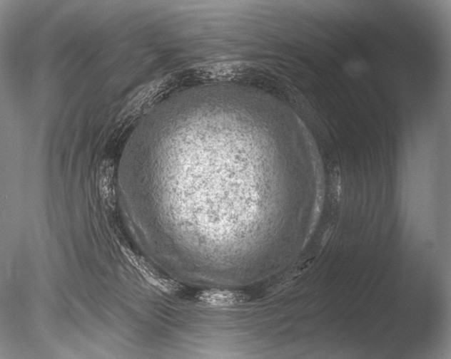 X0000085800181200703301508