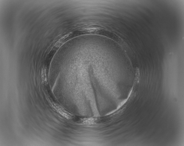 X0000085800182200703301508