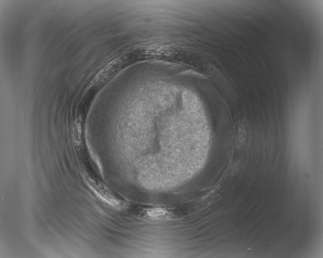 X0000085800183200703301508