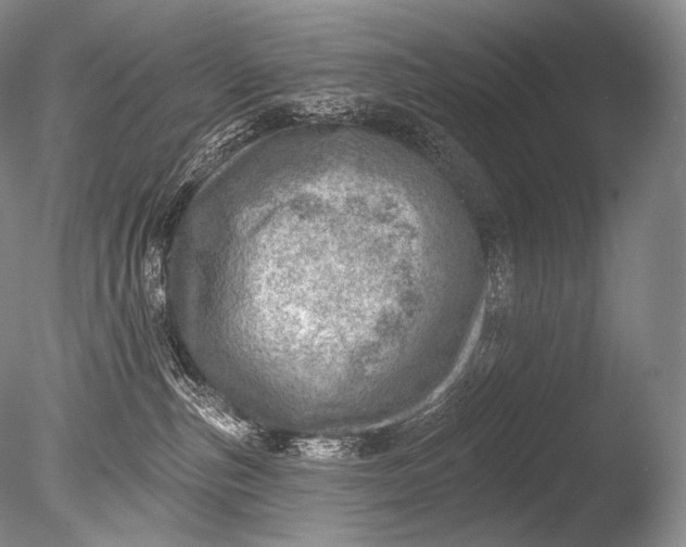 X0000085800187200703301508