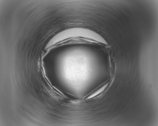 X0000085800190200703301508