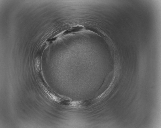 X0000085800192200703301508