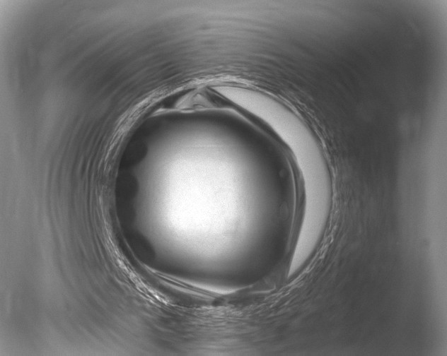 X0000085800193200703301507