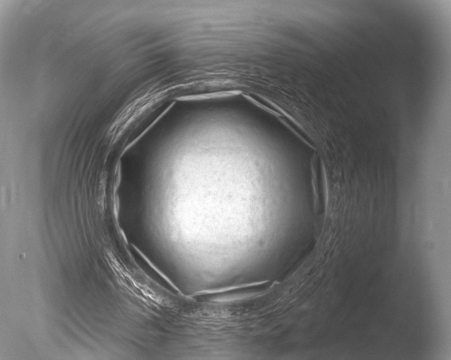 X0000085800194200703301507