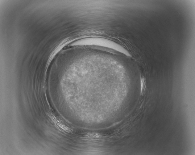 X0000085800195200703301507